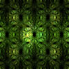 clorophyll.jpg (238162 bytes)
